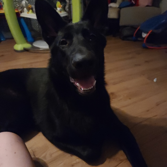 Accepting REASONABLE Offers! - Picture 7 of 7